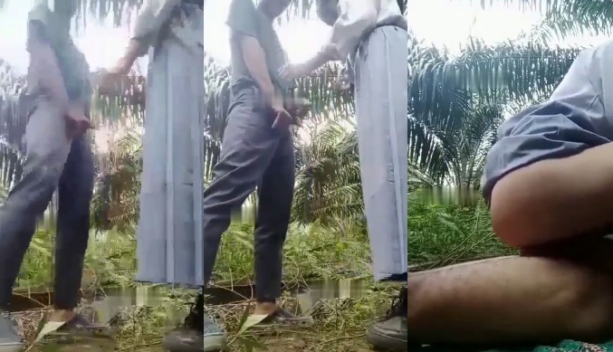 Couple Muda Bolos Sekolah Ngentot Panas di Kebun Kelapa