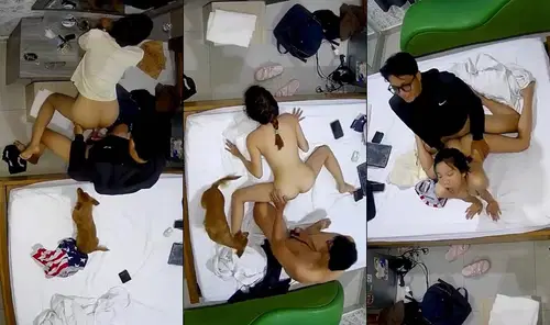 Cewek seksi bawa anjing ikut ngentot bareng teman-teman di motel